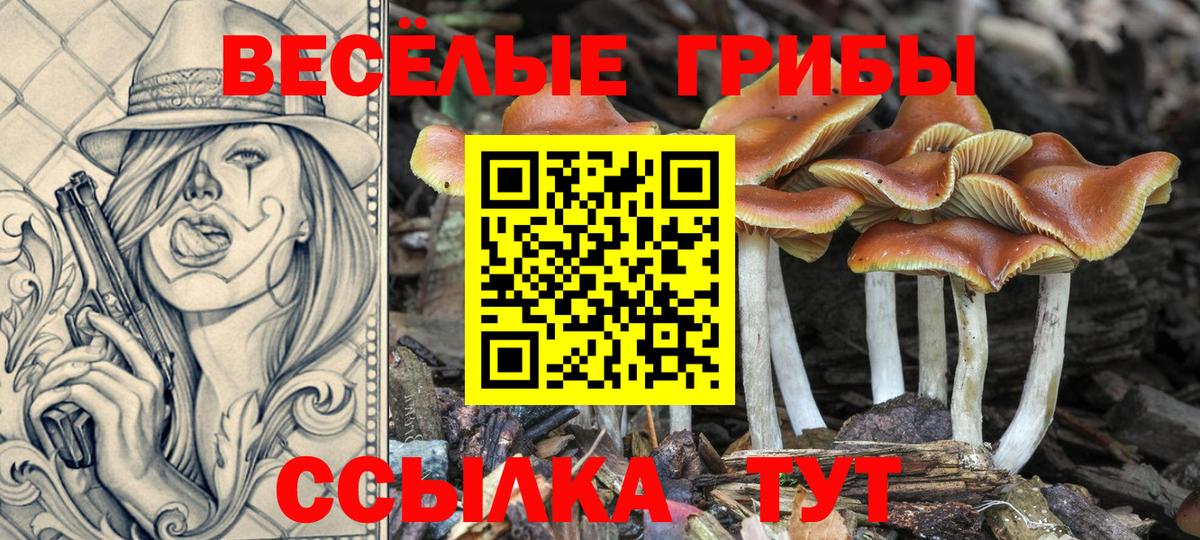 Псилоцибиновые грибы Magic Shrooms Усть-Джегута