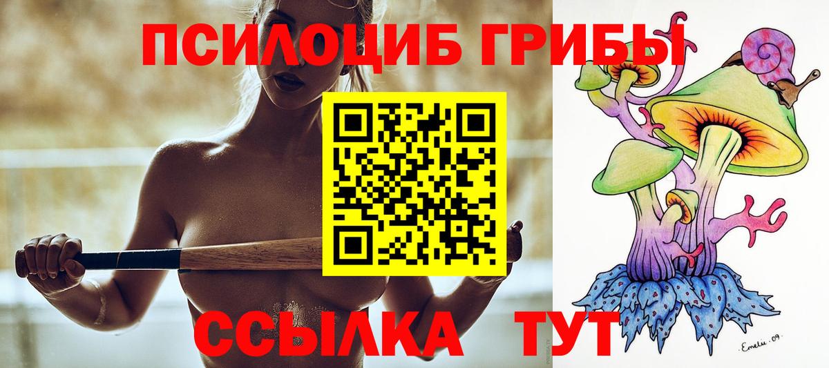 Усть-Джегута  Псилоцибиновые грибы ЛСД  Вход с VPN 